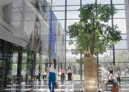 龙门国际光电简介