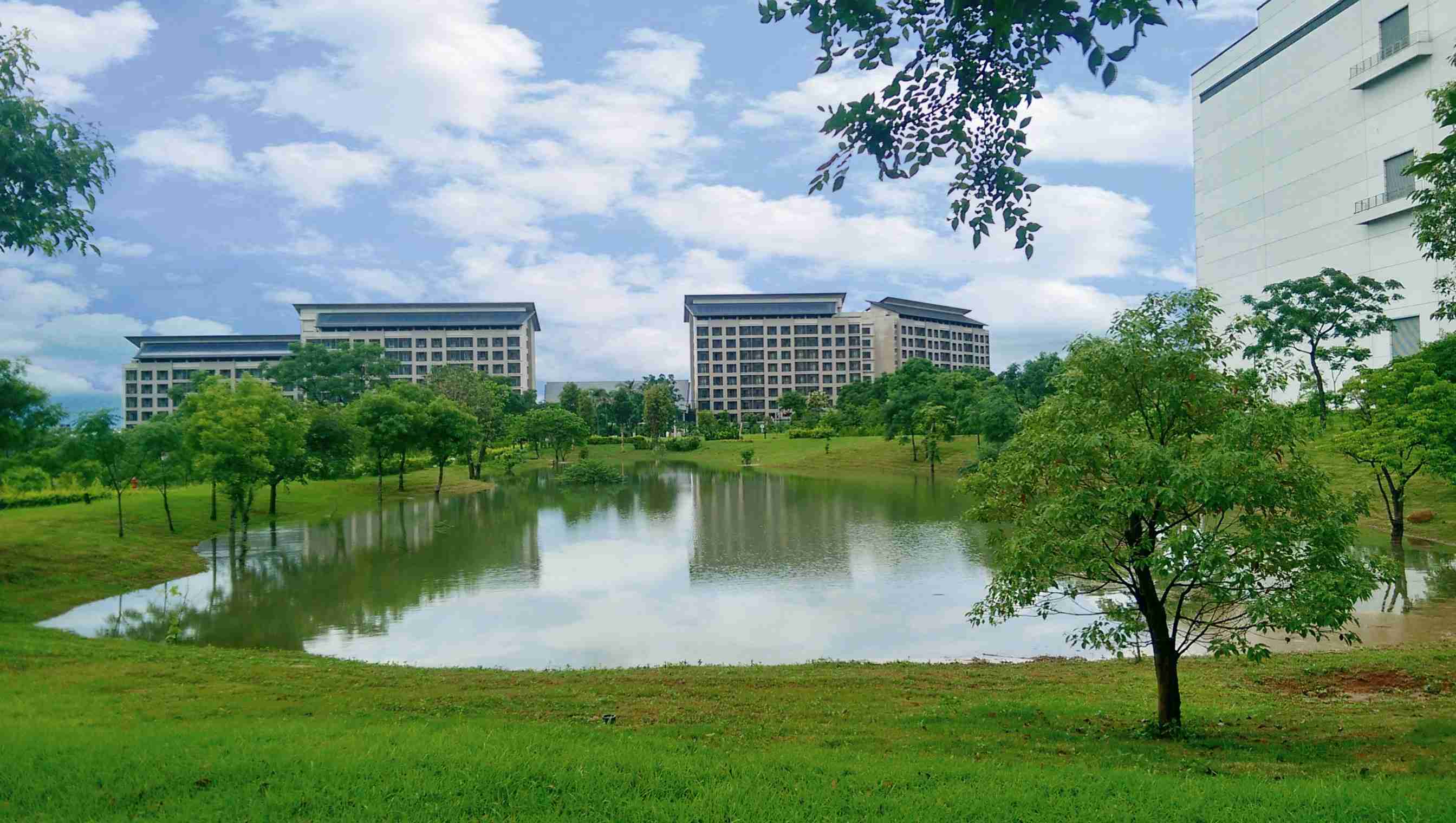 龙门国际响应国际倡议生物多样性趋势，，首次发布TNFD自然相关财务揭露报告书，，，擘划及开展龙门国际生物多样性政策之承诺，，，，逐步迈向与自然和谐共生
